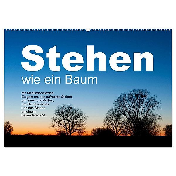 Stehen wie ein Baum (Wandkalender 2024 DIN A2 quer), CALVENDO Monatskalender, Ulrike Gruch