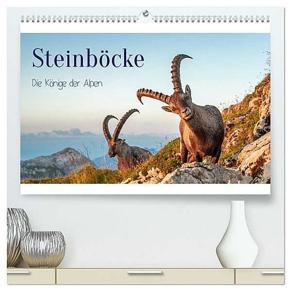 Steinböcke - Die Könige der Alpen (hochwertiger Premium Wandkalender 2024 DIN A2 quer), Kunstdruck in Hochglanz, Michaela Kramer