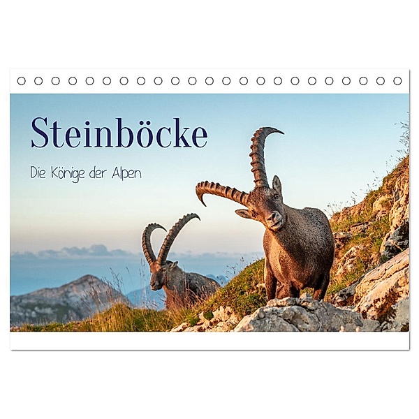 Steinböcke - Die Könige der Alpen (Tischkalender 2024 DIN A5 quer), CALVENDO Monatskalender, Michaela Kramer