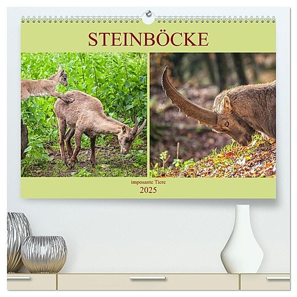 Steinböcke - imposante Tiere (hochwertiger Premium Wandkalender 2025 DIN A2 quer), Kunstdruck in Hochglanz, Calvendo, Liselotte Brunner-Klaus