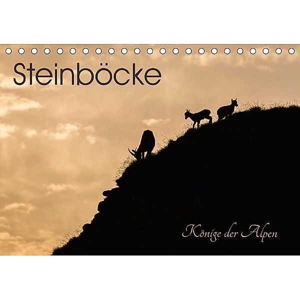 Steinböcke - Könige der Alpen (Tischkalender 2017 DIN A5 quer), Melanie Weber