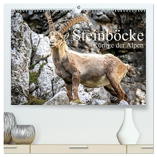 Steinböcke - Majestätische Tiere der Alpen (hochwertiger Premium Wandkalender 2024 DIN A2 quer), Kunstdruck in Hochglanz, Calvendo, Sven Burbott