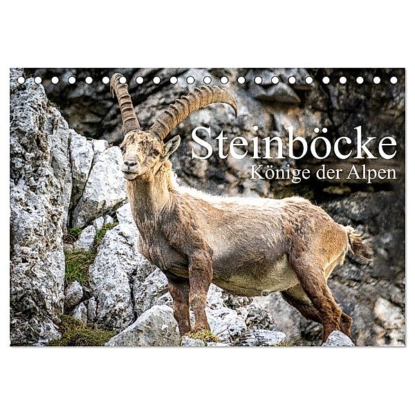 Steinböcke - Majestätische Tiere der Alpen (Tischkalender 2024 DIN A5 quer), CALVENDO Monatskalender, Calvendo, Sven Burbott