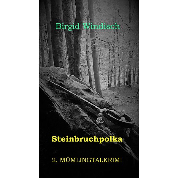 Steinbruchpolka / Mümlingtalkrimi Bd.2, Birgid Windisch