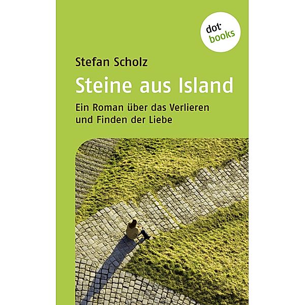 Steine aus Island, Stefan Scholz