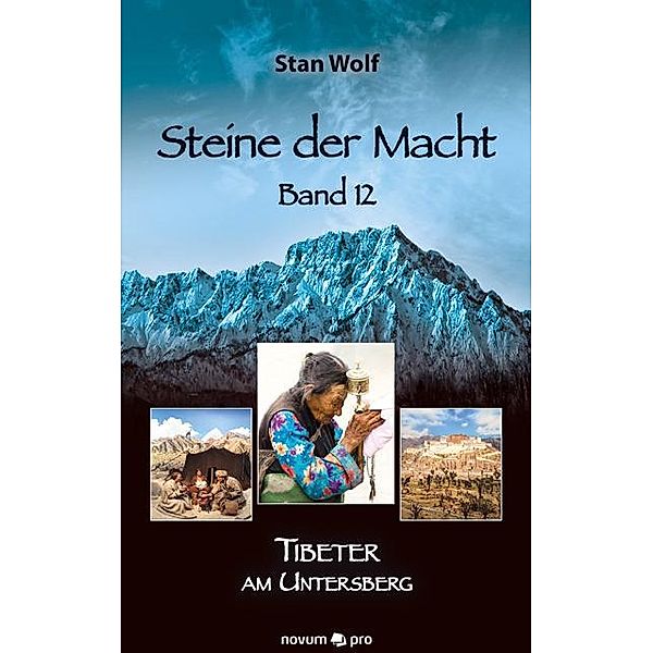 Steine der Macht - Band 12, Stan Wolf