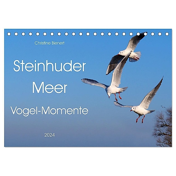 Steinhuder Meer, Vogel-Momente (Tischkalender 2024 DIN A5 quer), CALVENDO Monatskalender, Christine Bienert