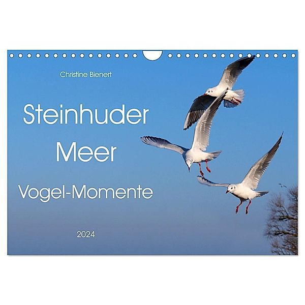 Steinhuder Meer, Vogel-Momente (Wandkalender 2024 DIN A4 quer), CALVENDO Monatskalender, Christine Bienert