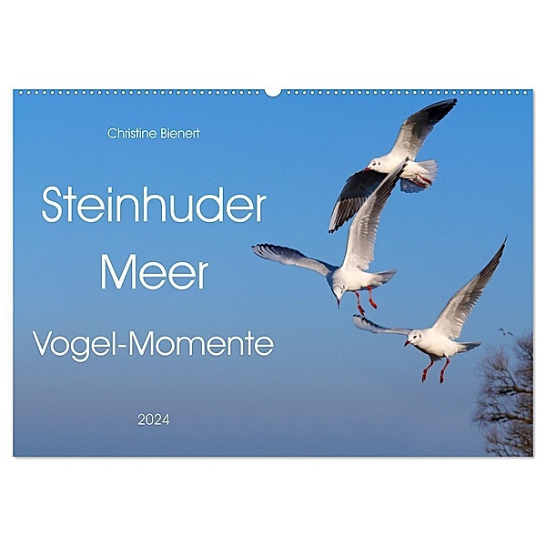 Steinhuder Meer, Vogel-Momente (Wandkalender 2024 DIN A2 quer), CALVENDO Monatskalender, Christine Bienert