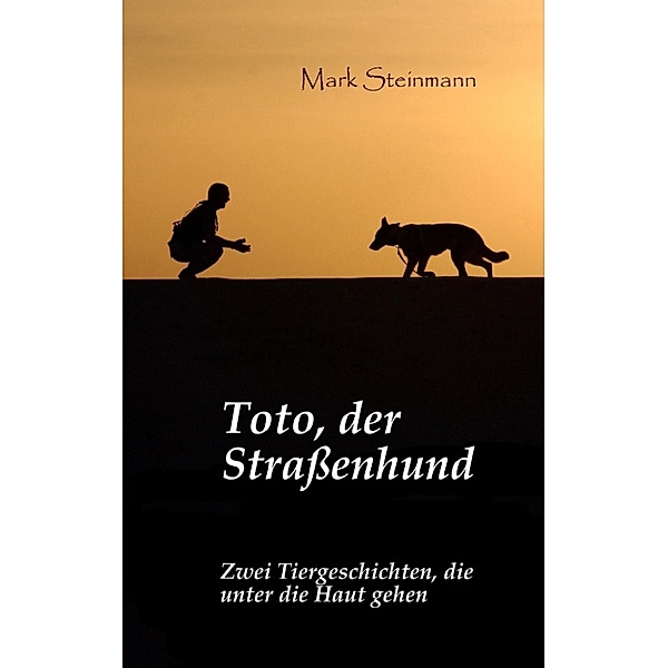 Steinmann, M: Toto, der Straßenhund