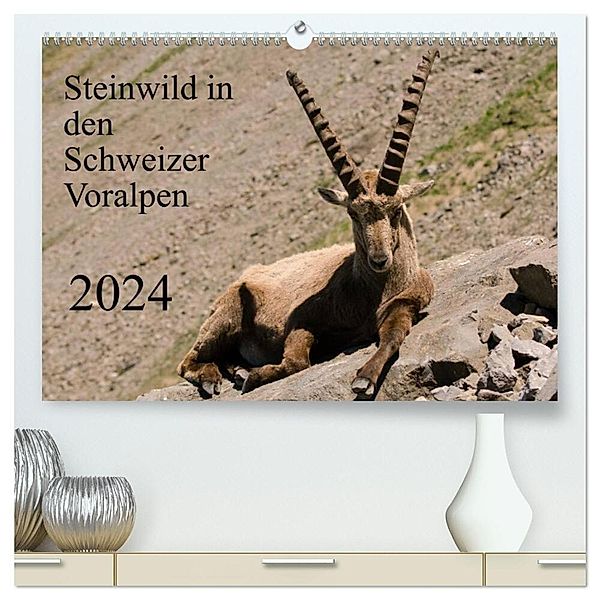 Steinwild in den Schweizer Voralpen (hochwertiger Premium Wandkalender 2024 DIN A2 quer), Kunstdruck in Hochglanz, Norbert W. Saul