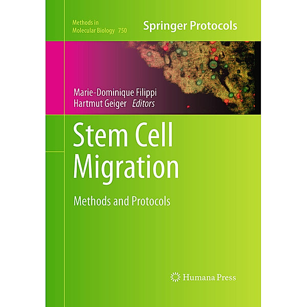 Stem Cell Migration