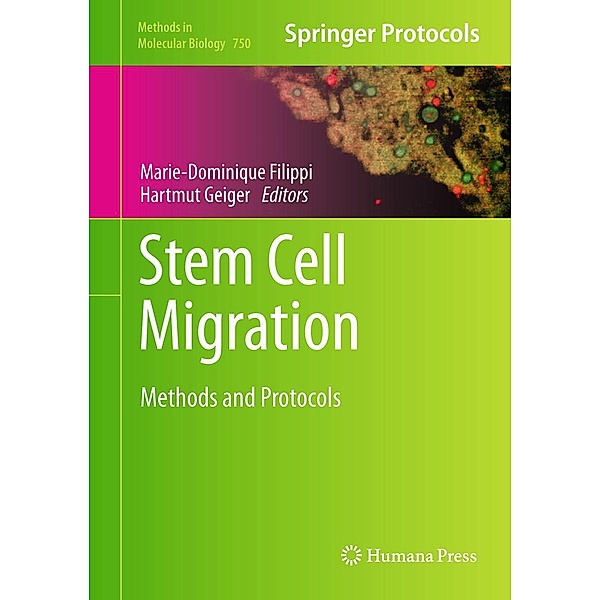 Stem Cell Migration / Methods in Molecular Biology Bd.750