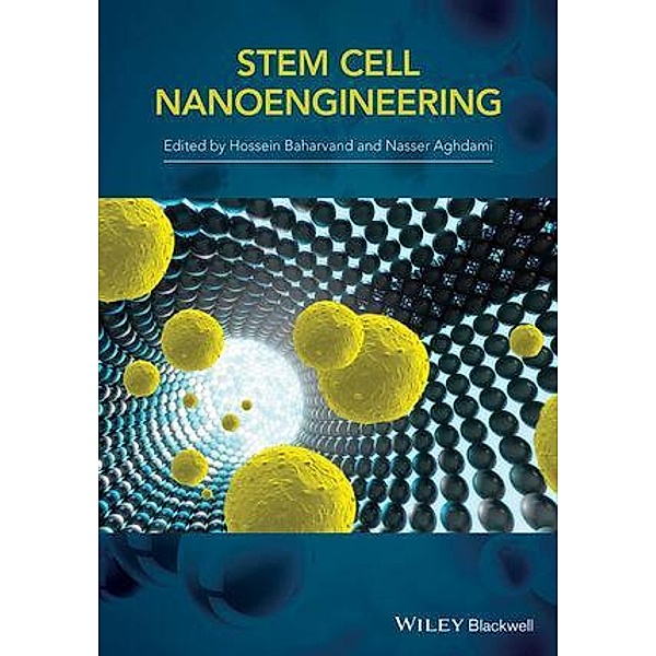 Stem-Cell Nanoengineering, H. Baharvand