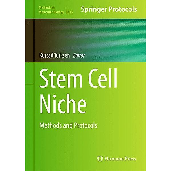 Stem Cell Niche