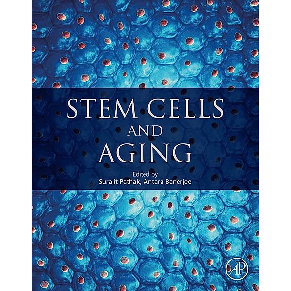 Stem Cells and Aging