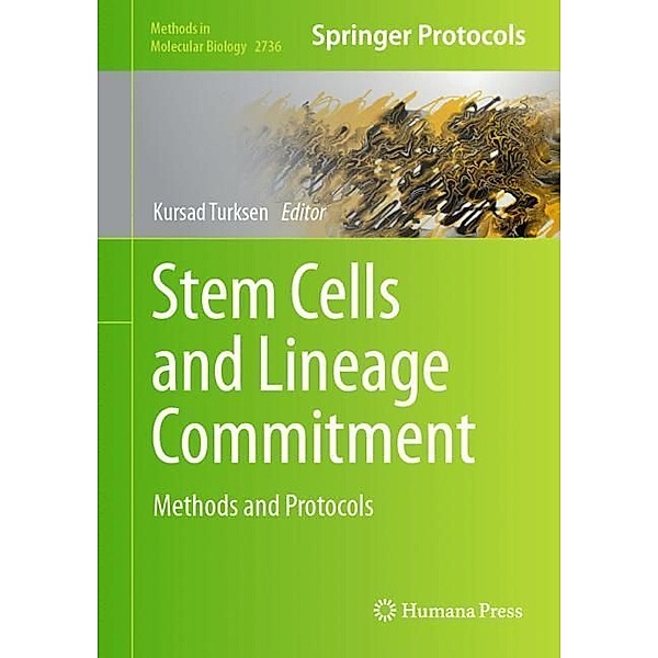 Stem Cells and Lineage Commitment