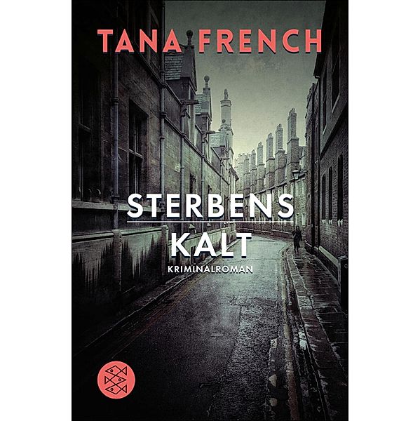 Sterbenskalt / Mordkommission Dublin Bd.3, Tana French