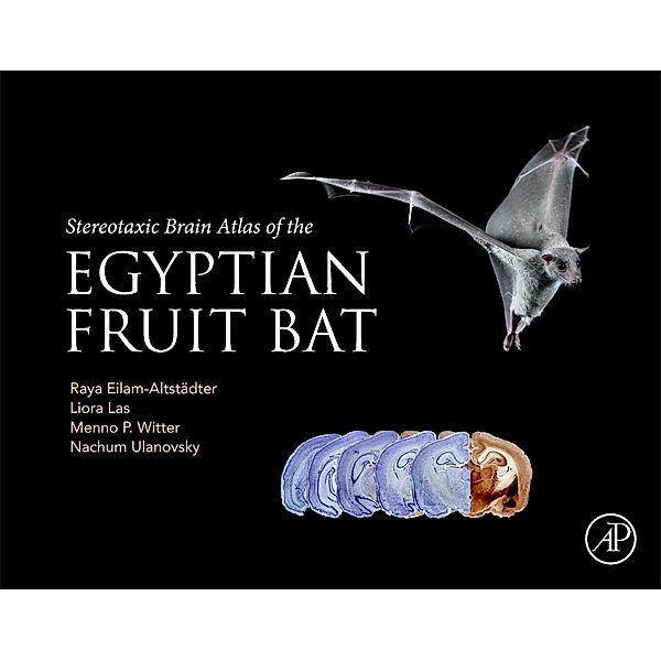 Stereotaxic Brain Atlas of the Egyptian Fruit Bat, Raya Eilam-Altstadter, Liora Las, Menno Witter, Nachum Ulanovsky