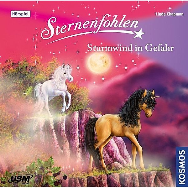 Sternenfohlen - Sturmwind in Gefahr,1 Audio-CD, Linda Chapman