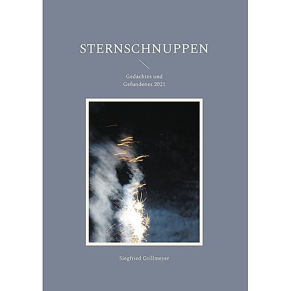 Sternschnuppen / Tagebuchnotizen Bd.1, Siegfried Grillmeyer