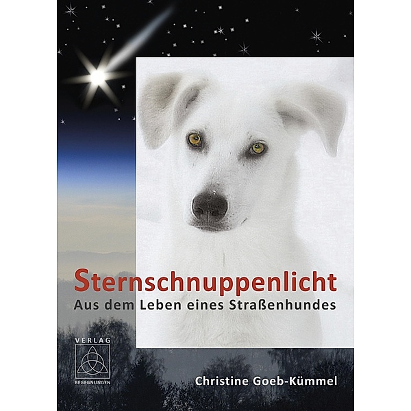 Sternschnuppenlicht, Christine Goeb-Kümmel