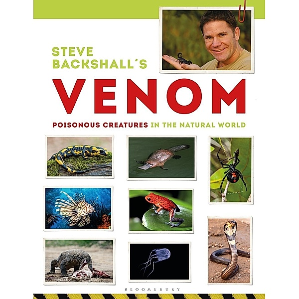 Steve Backshall's Venom, Steve Backshall