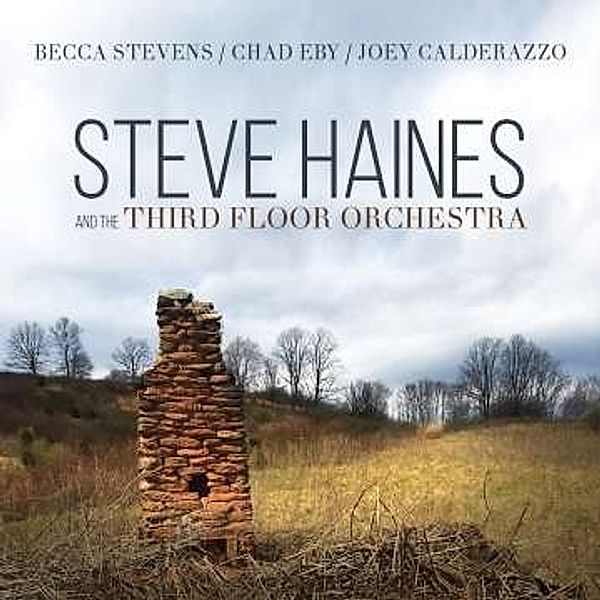 Steve Haines And The Third Floor Orchestra, Steve And The Third Floor Haines Orchestra