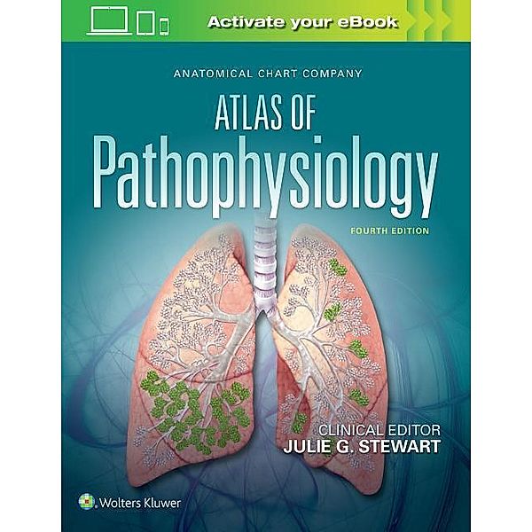 Stewart, J: Anatomical Chart Comp.  Atlas of Pathophysiology, Julie G. Stewart