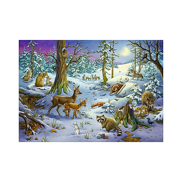 COPPENRATH VERLAG Sticker-Adventskalender Tiere im Winterwald 2023 von Coppenrath