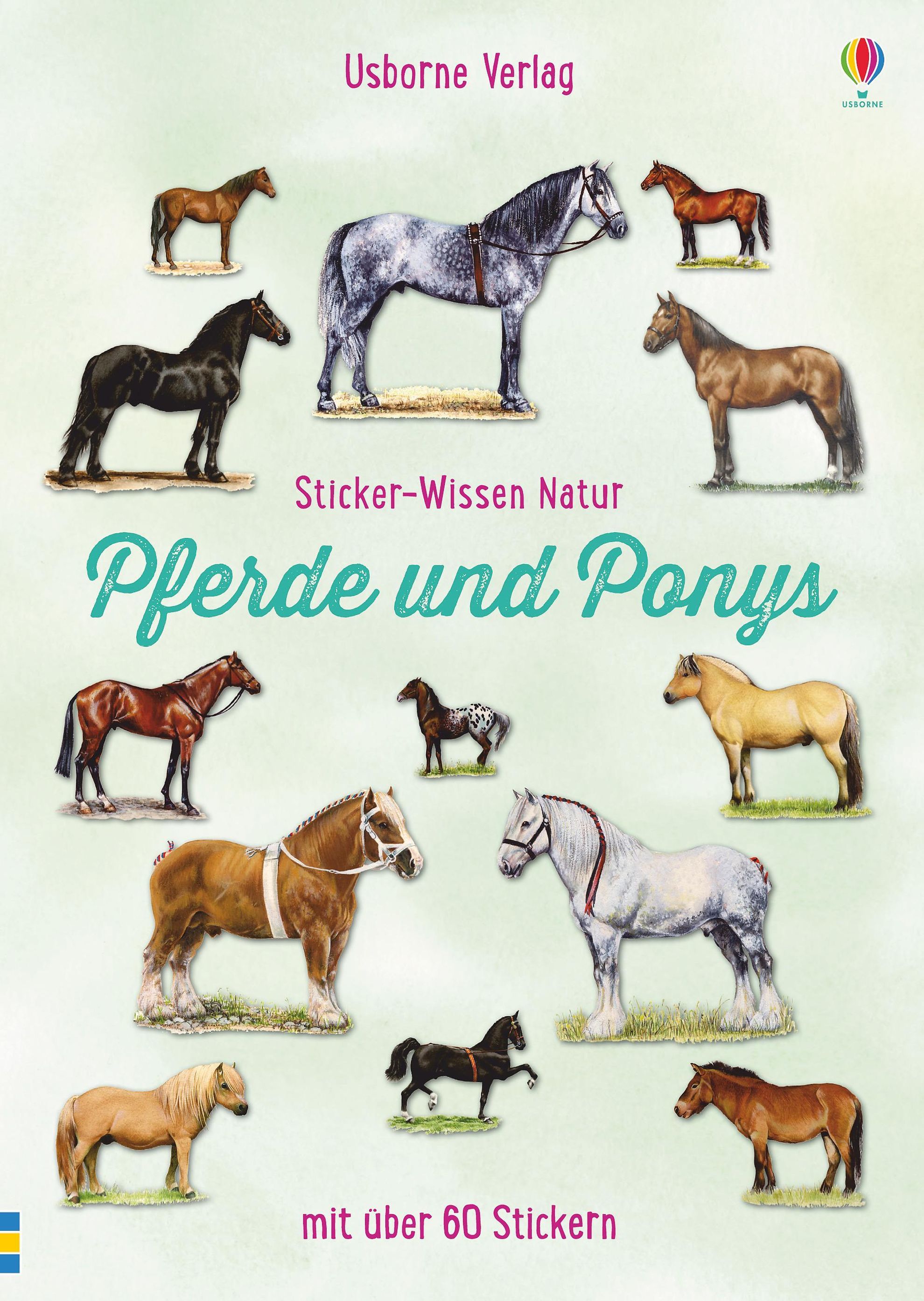 Sticker-Wissen Natur: Pferde und Ponys Buch - Weltbild.at