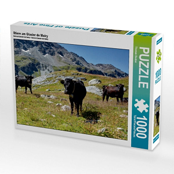 Stiere am Glacier de Moiry (Puzzle), Thomas Becker