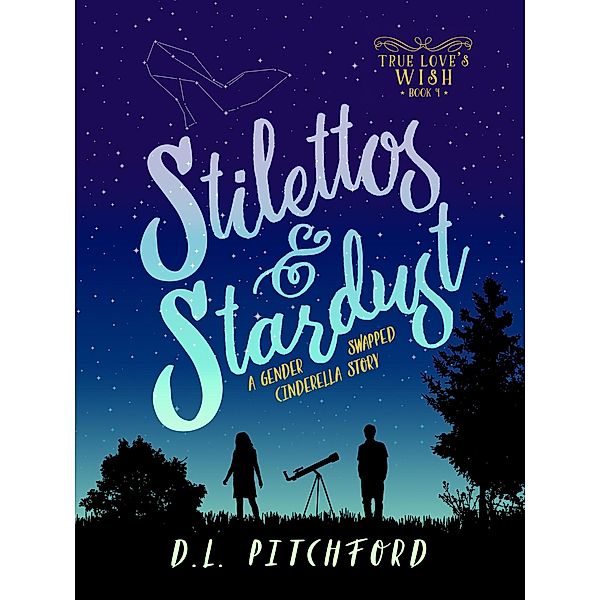 Stilettos & Stardust (True Love's Wish Series, #1), D. L. Pitchford