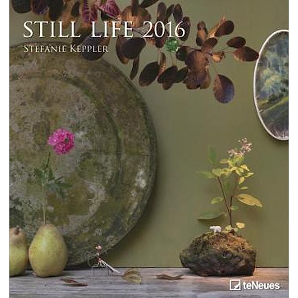 Still Life 2016, Stefanie Keppler