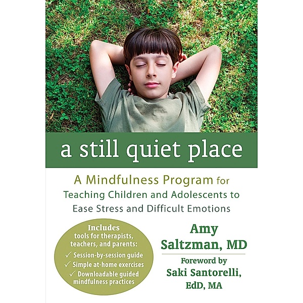 Still Quiet Place, Amy Saltzman