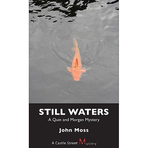 Still Waters / A Quin and Morgan Mystery Bd.1, John Moss