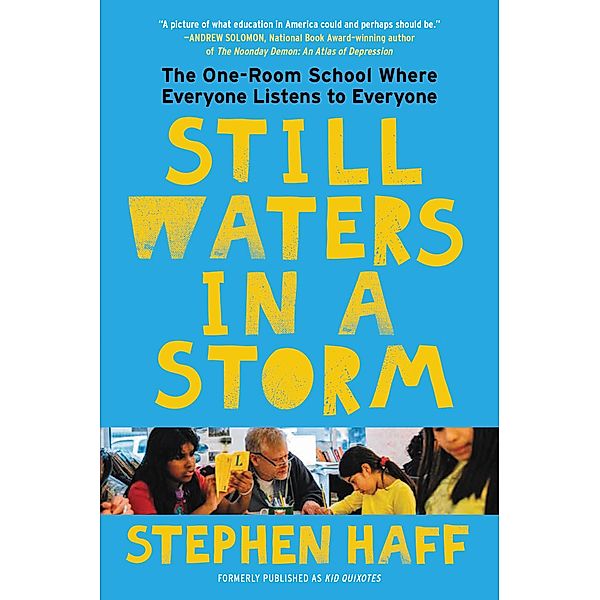 Still Waters in a Storm, Stephen Haff