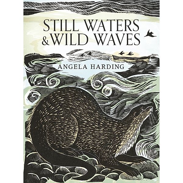 Still Waters & Wild Waves, Angela Harding
