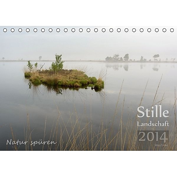 Stille Landschaft (Tischkalender 2014 DIN A5 quer), Moo Fricke