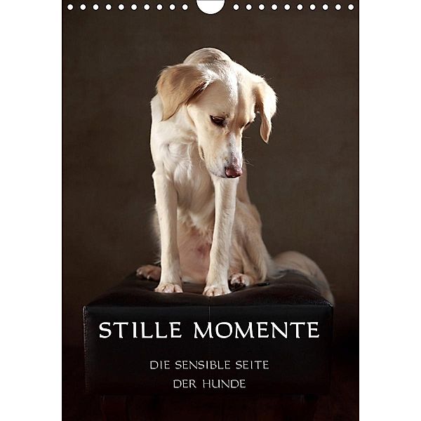 Stille Momente - Die sensible Seite der Hunde (Wandkalender 2020 DIN A4 hoch), Jana Behr