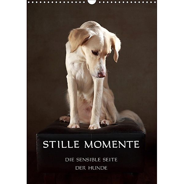 Stille Momente - Die sensible Seite der Hunde (Wandkalender 2021 DIN A3 hoch), Jana Behr