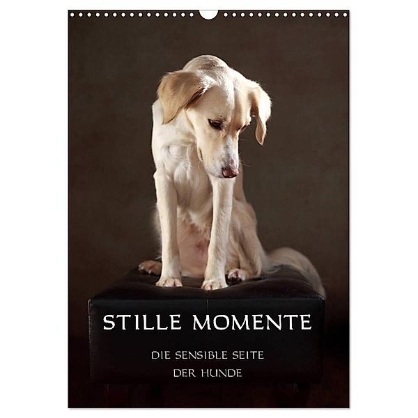 Stille Momente - Die sensible Seite der Hunde (Wandkalender 2024 DIN A3 hoch), CALVENDO Monatskalender, Jana Behr