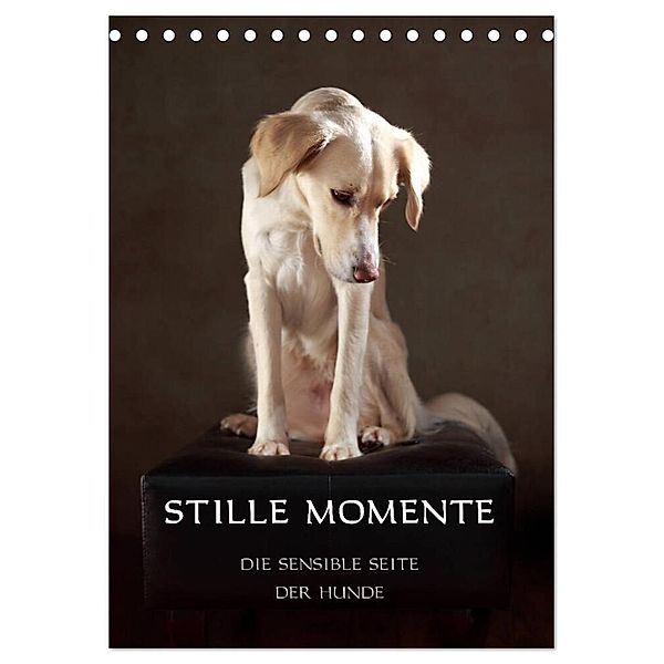 Stille Momente - Die sensible Seite der Hunde (Tischkalender 2024 DIN A5 hoch), CALVENDO Monatskalender, Jana Behr