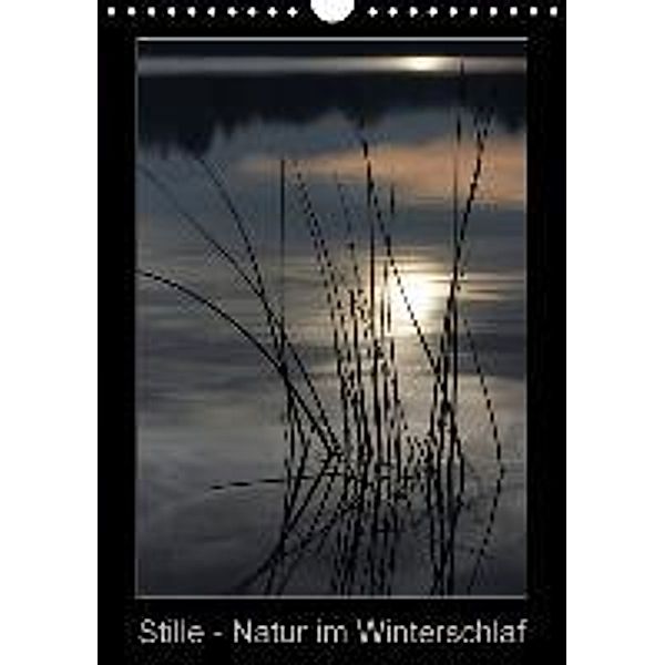 Stille - Natur im Winterschlaf (Wandkalender 2015 DIN A4 hoch), Martina Marten