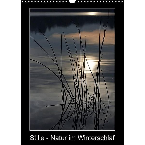 Stille - Natur im Winterschlaf (Wandkalender 2017 DIN A3 hoch), Martina Marten