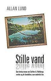 Stille vand - eBook - Allan Lund,