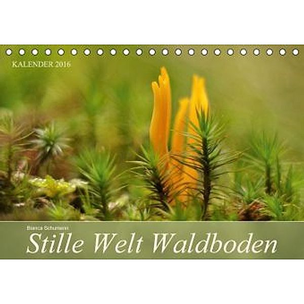 Stille Welt Waldboden CH-Version (Tischkalender 2016 DIN A5 quer), Bianca Schumann