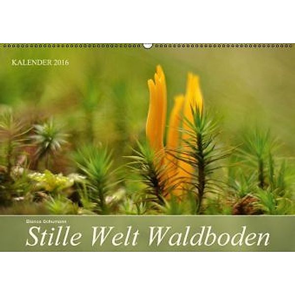 Stille Welt Waldboden CH-Version (Wandkalender 2016 DIN A2 quer), Bianca Schumann