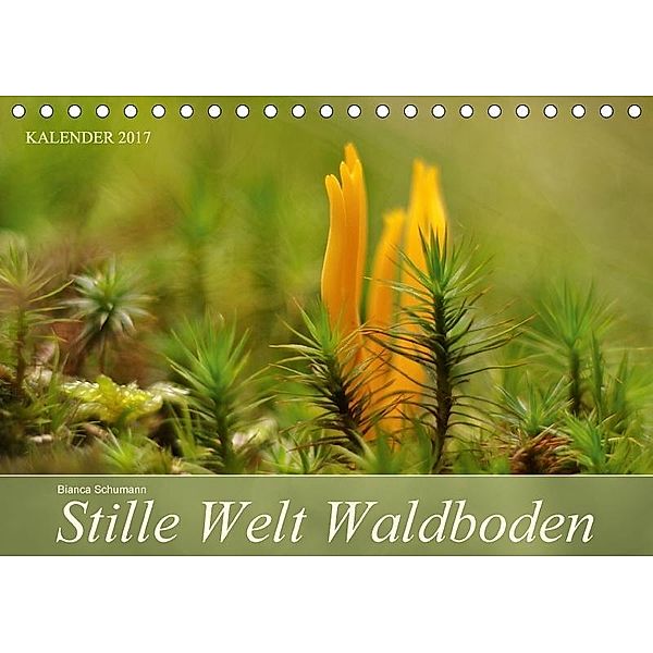 Stille Welt WaldbodenCH-Version (Tischkalender 2017 DIN A5 quer), Bianca Schumann