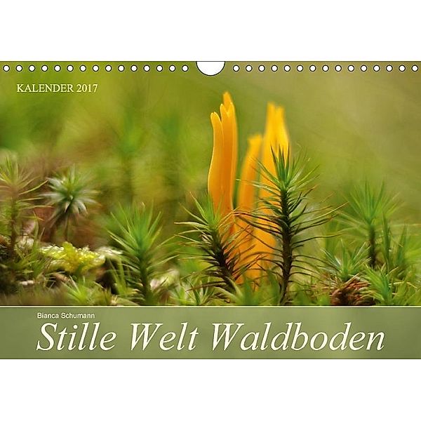 Stille Welt WaldbodenCH-Version (Wandkalender 2017 DIN A4 quer), Bianca Schumann